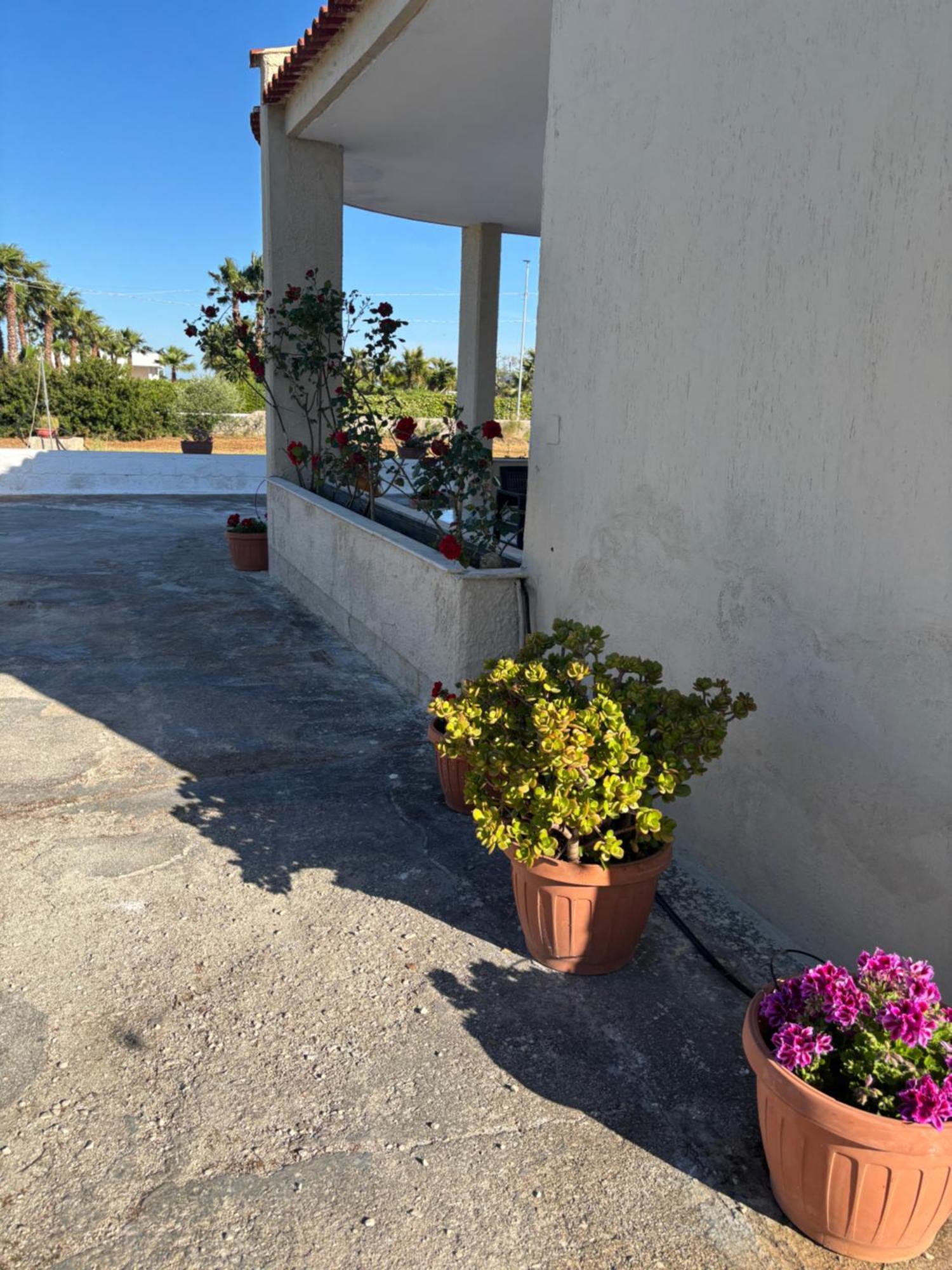 Lilly'S House Villa Torre Santa Sabina Eksteriør billede