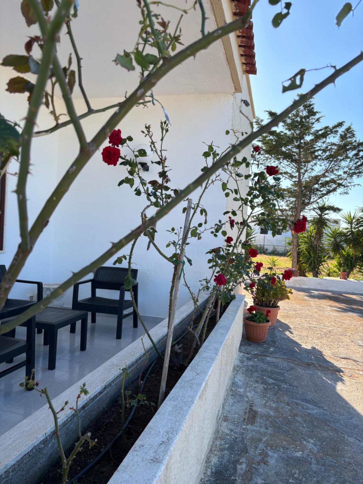 Lilly'S House Villa Torre Santa Sabina Eksteriør billede